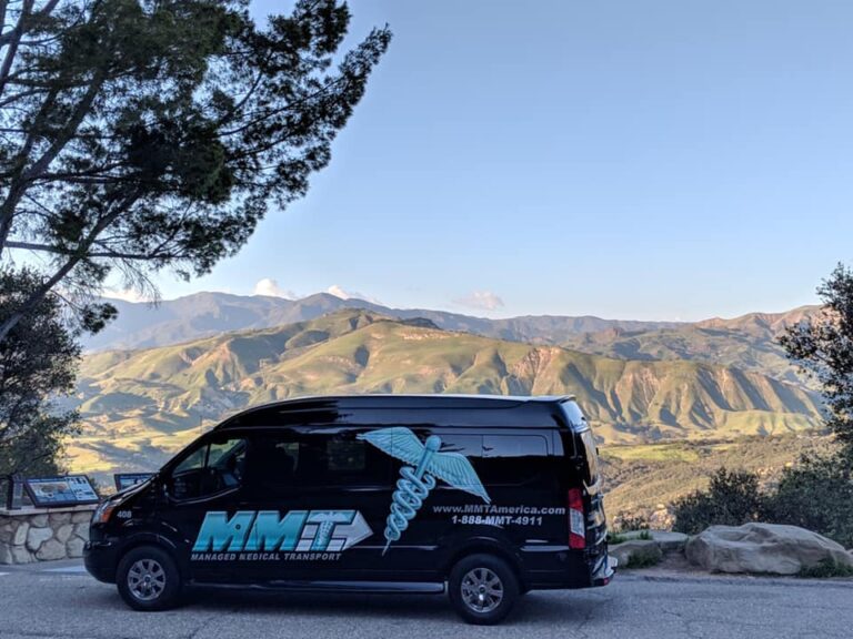 compact van, minivan, van, compact sport utility vehicle